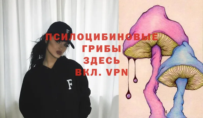 Галлюциногенные грибы Psilocybe  наркота  Константиновск 